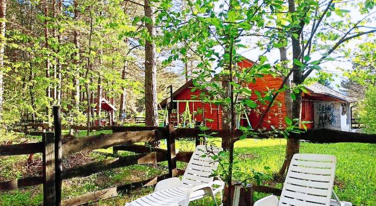 Rental apartment with garden & BBQ | Good for workation | Pet-friendly — photo 4