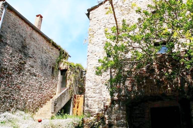 Stone house in the heart of Larzac – Nature, free-roaming horses, and guaranteed relaxation — photo 5