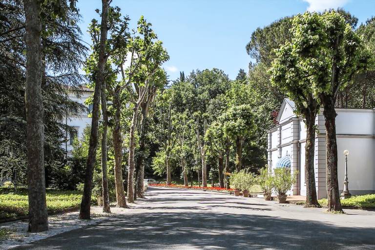 foto6