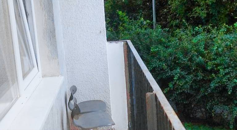Nice holiday apartment | Pets are welcome — photo 4