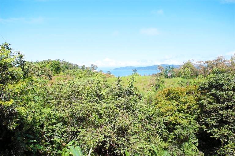 Drake Bay Greenleaf in Puntarenas