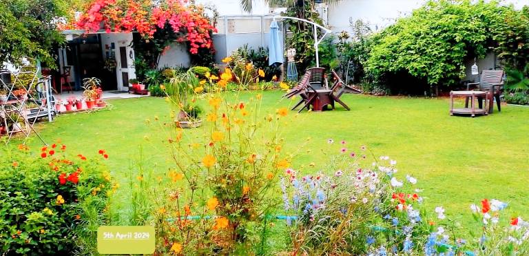 Green Serene Abode