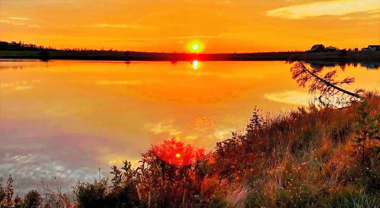 Moose River Cottage in Halifax, NS