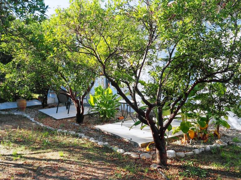 Calm located, amid an olive grove, close to the beach, wifi holiday house Ilia, Peloponnese — photo 2