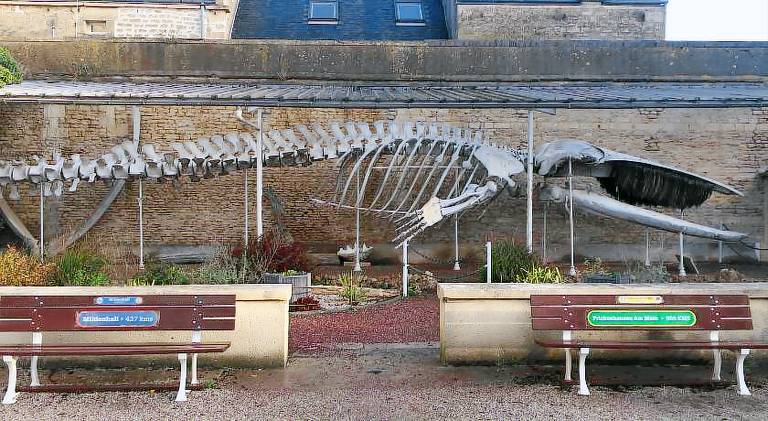 Vacation home with hot tub | Next to the beach | Pets allowed in Caen