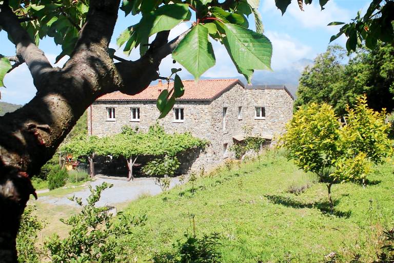 Agriturismo Carro