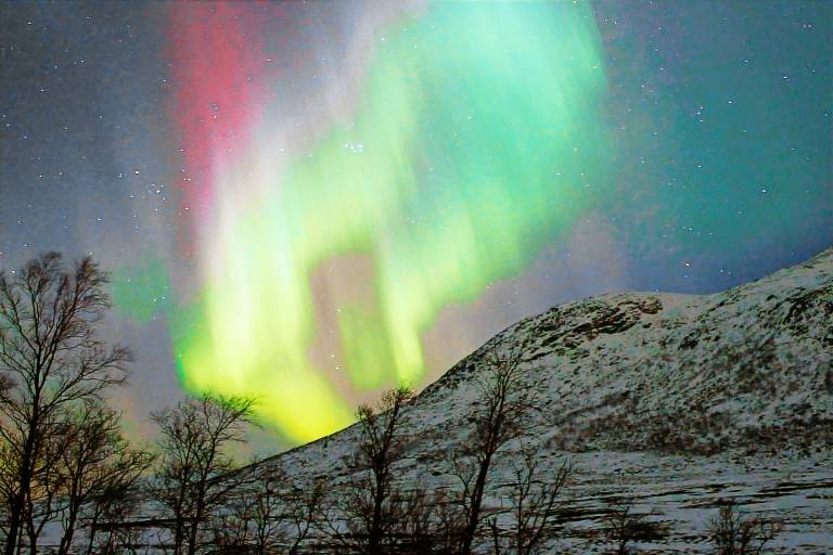 Ferienhaus Mefjordvær