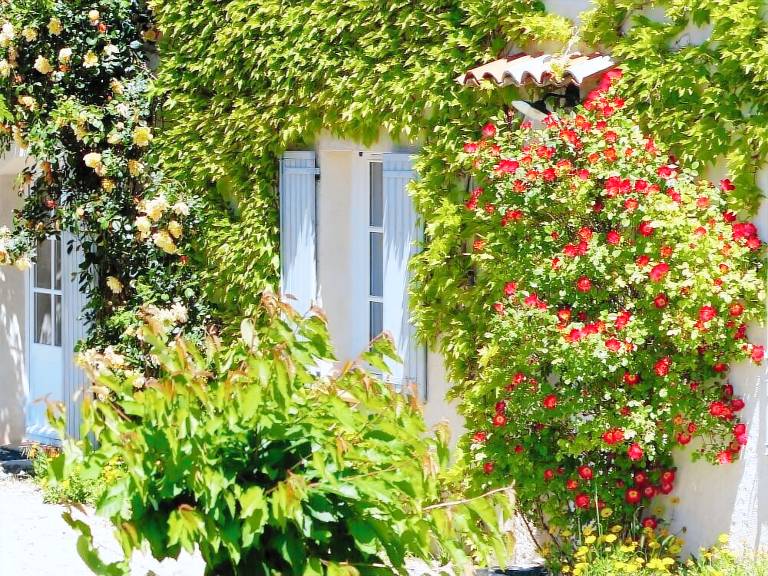 Cottage Moustiers-Sainte-Marie