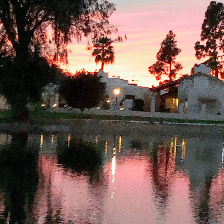 Condo Desert Shores
