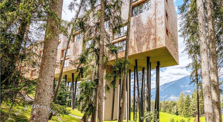 My Arbor - Dolomites in Naz Sciaves