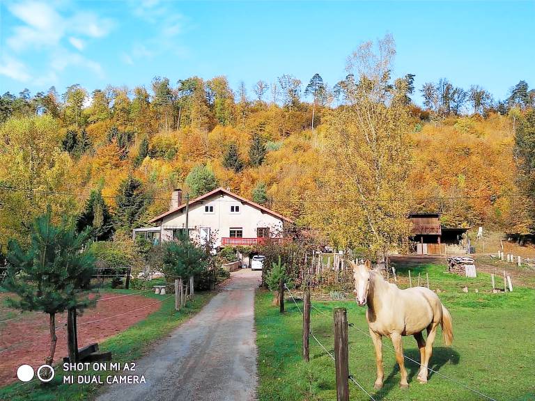 Cottage Soucht