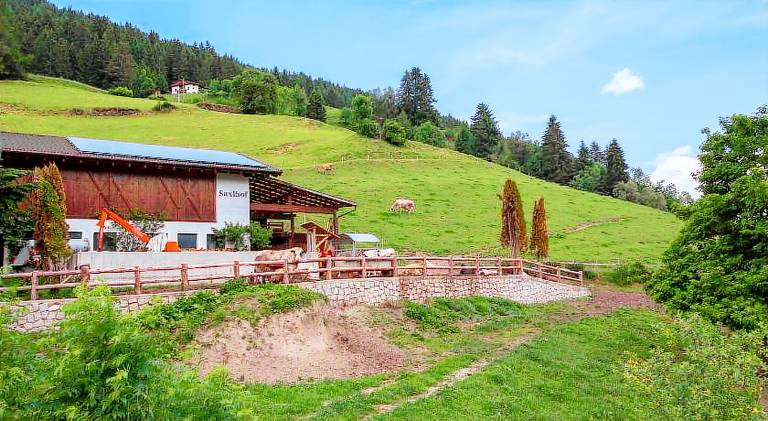 Serviced apartment with sauna, terrace & yard | Suitable for remote work | Pets allowed — photo 4