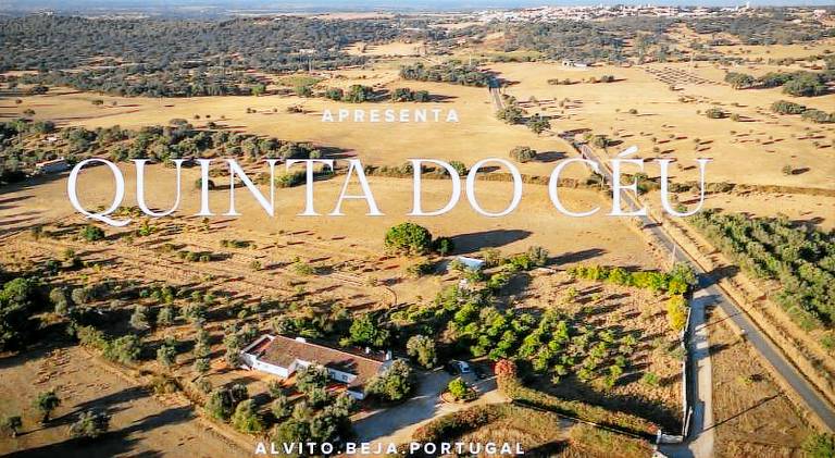 Ample house with barbeque, private pool & garden | Pets allowed in Beja