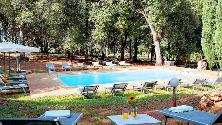 Villa with grill, yard & private pool | Garden view — photo 4