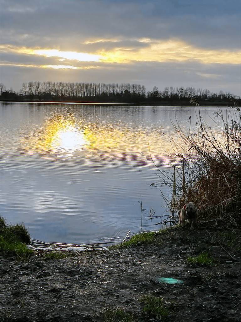 Huis Lisse