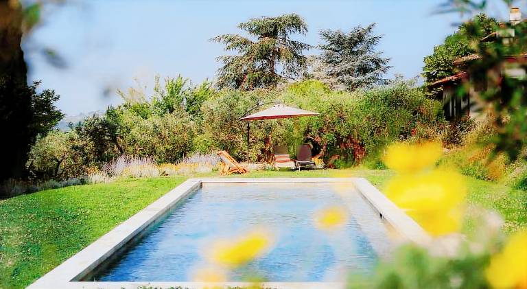 Farm with pool, garden & terrace in Montespertoli