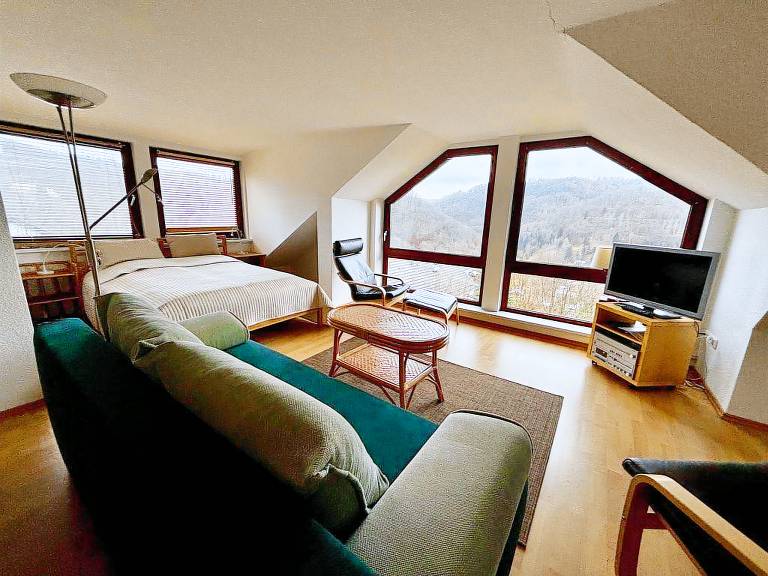 Ferienhaus Wieda