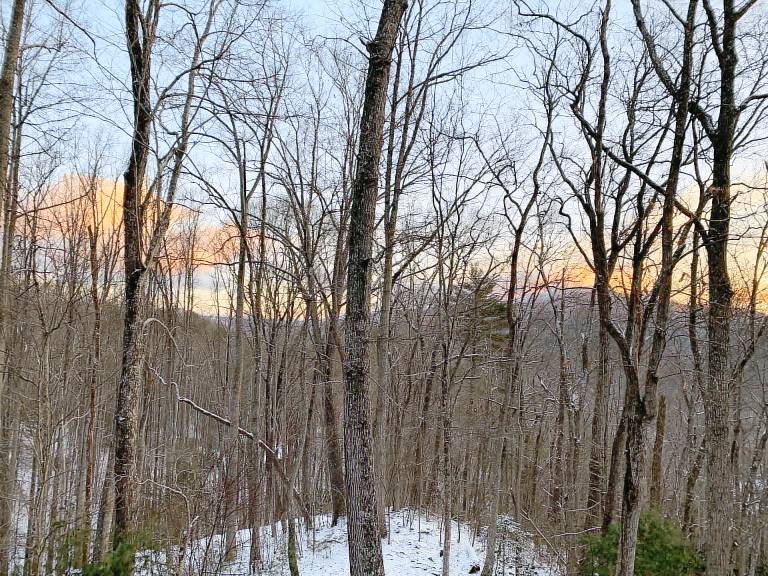 Cabin  Watauga Lake