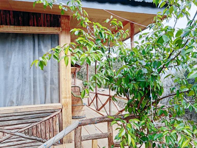 Bungalow with garden & BBQ — photo 4