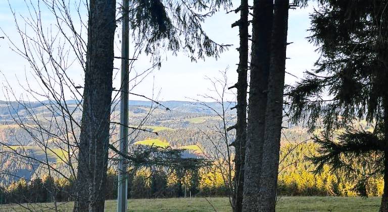 Naturfreundehaus Fahrenberg in Hinterzarten