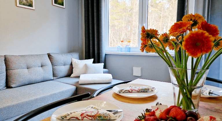 Rental apartment | Pets are welcome in Ustka