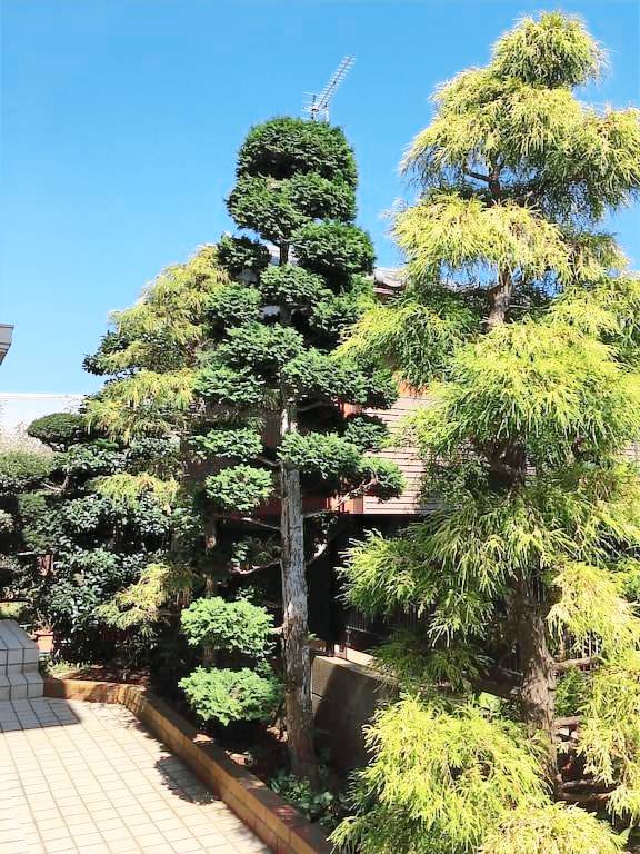Ferienhaus Hatsutomi