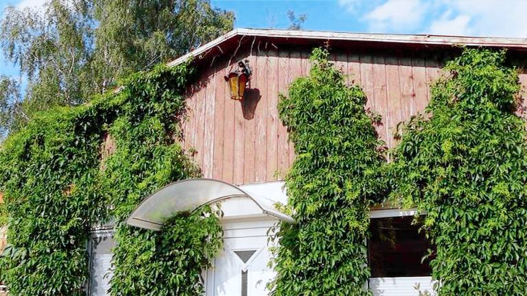 Ferienwohnung Kleinzerlang