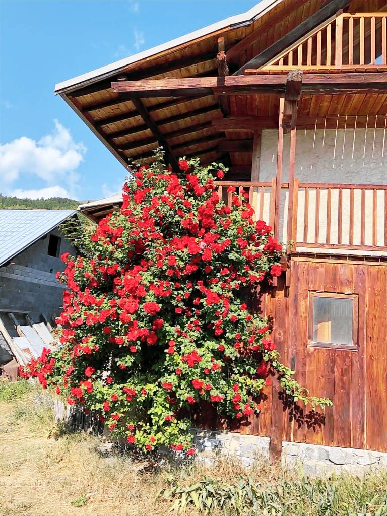 Maison de vacances  Vallouise