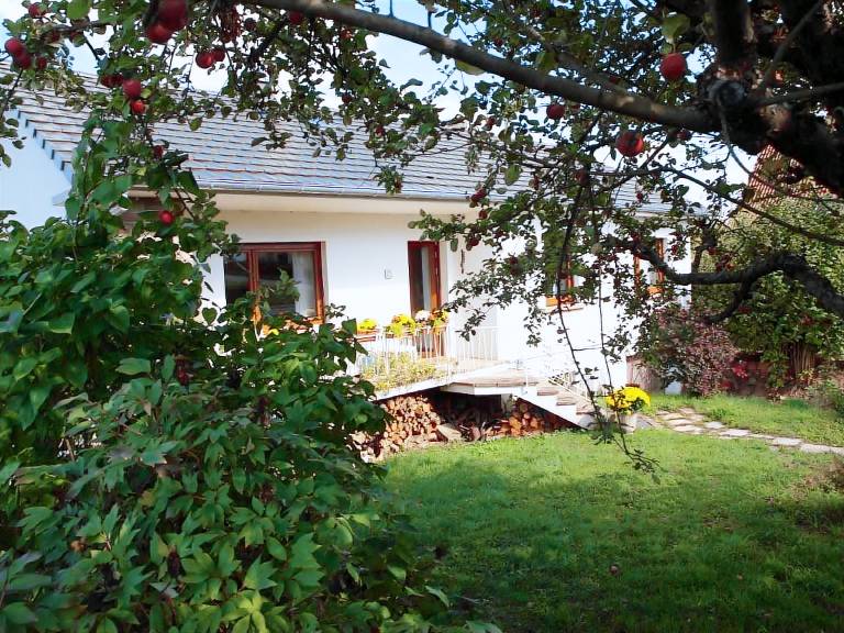 House with yard, barbeque & patio | Mountain view — photo 2