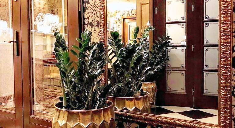 Serviced apartment with terrace | Near Market Square | Pets are welcome — photo 4