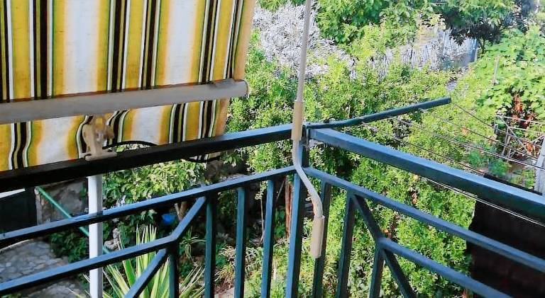 B&B Madama Marta — photo 4