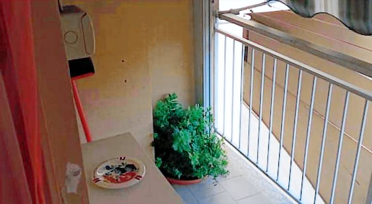 foto3