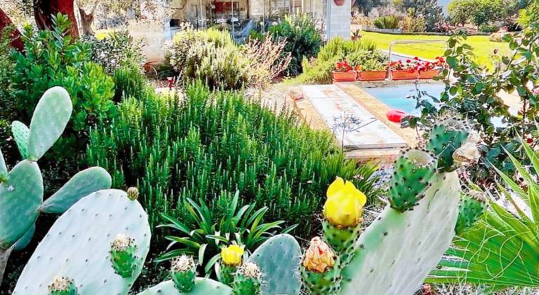 Vacation home with pool in Carovigno