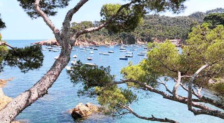 Rental apartment | Close to the beach | Pet-friendly in Begur
