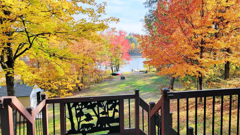 Cabin  Webb Lake