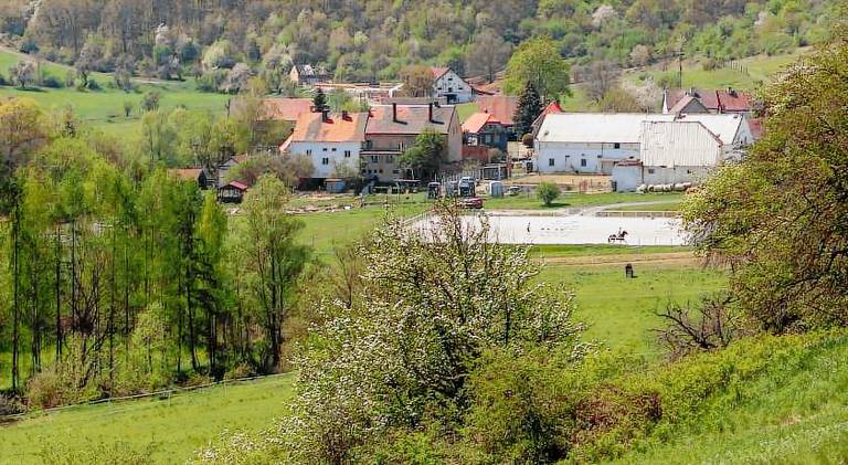 Holiday apartment | Pets are welcome in Teplice