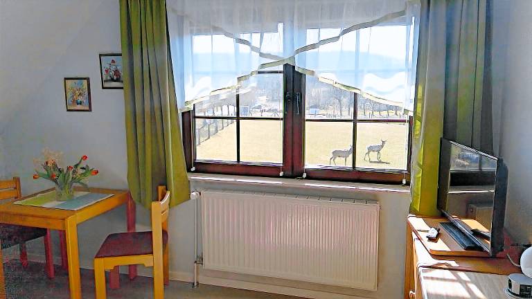 Appartement Jasmund