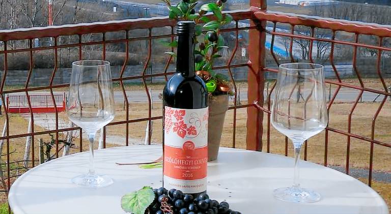 Bed and breakfast  Gödöllő