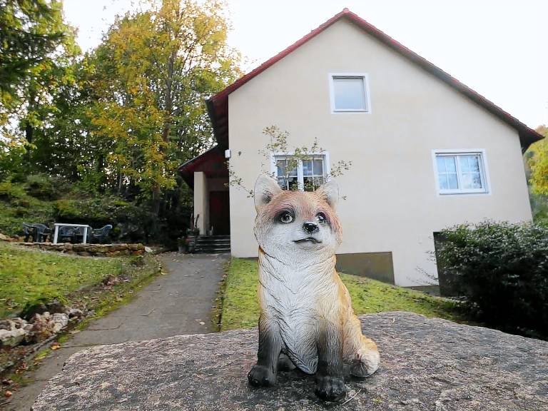 Apartment  Muggendorf