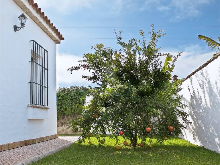Large community pool, beautiful outdoor kitchen with grill, private garden with garden furniture - Casa Marin 1 - — photo 5