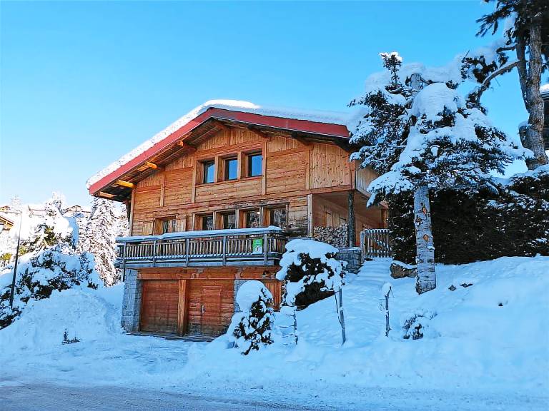Chalet  Les Gets