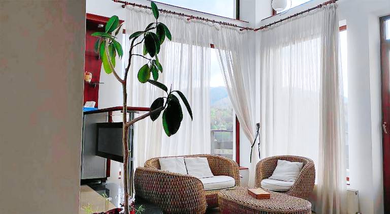 Spacious villa | Pet-friendly — photo 2
