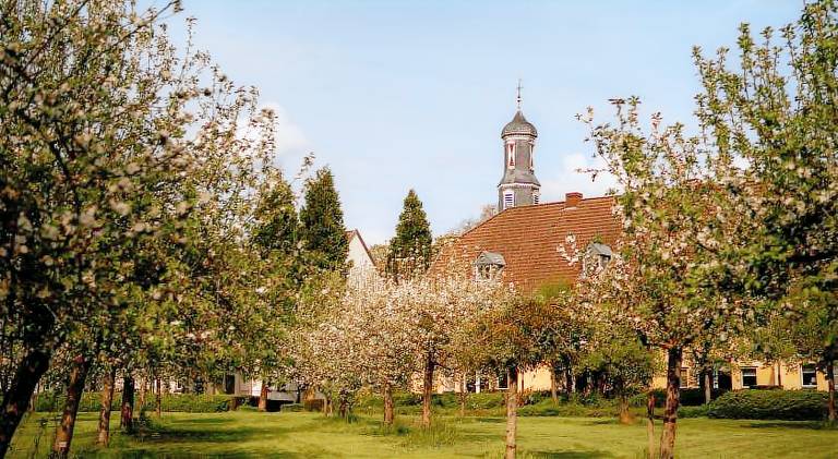 Holiday apartment with pool, garden & sauna | Pet-friendly in Valkenburg aan de Geul