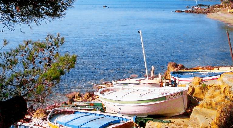Rental apartment with pool | Dogs allowed in La Seyne-sur-Mer