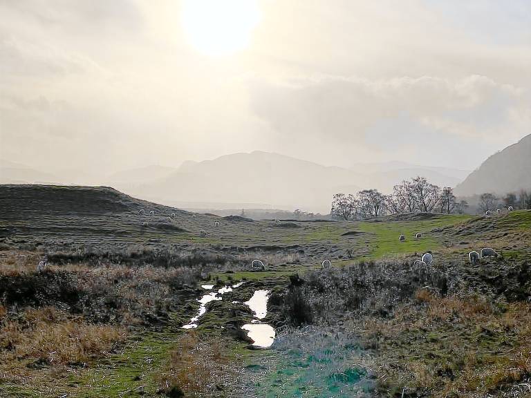 Cottage Kingussie