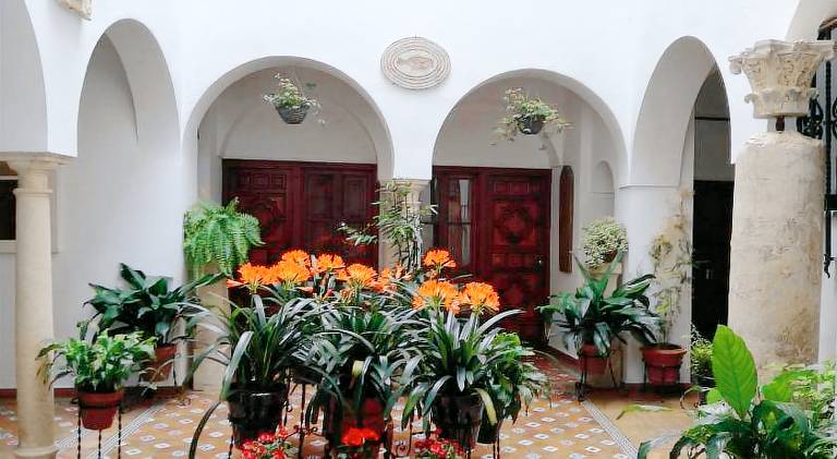Holiday apartment | Next to Mosque–Cathedral of Córdoba — photo 5