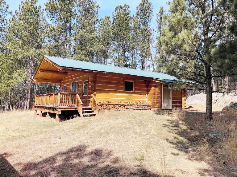 Cabin Custer