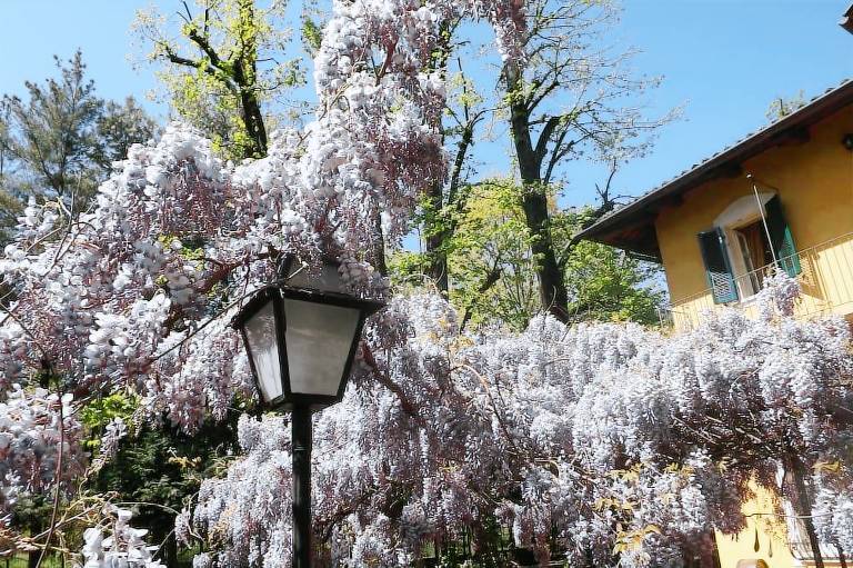 Bed & Breakfast  Rivoli