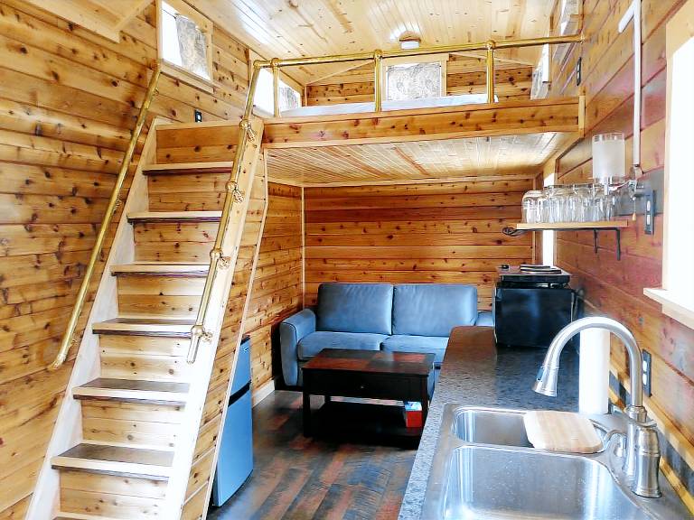 Cabin Beaver