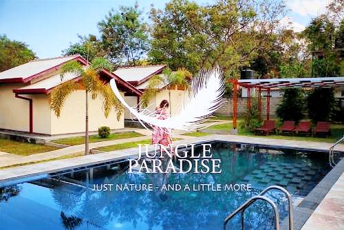 Jungle Paradise